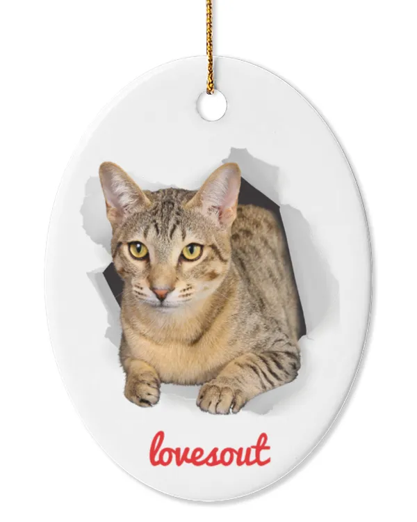 Oval Ceramic Ornament (US)
