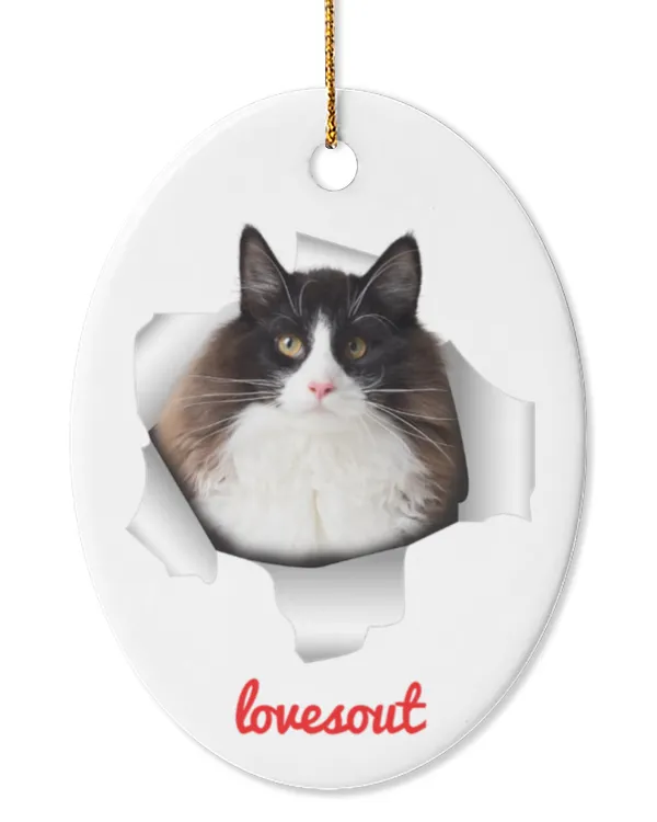 Oval Ceramic Ornament (US)