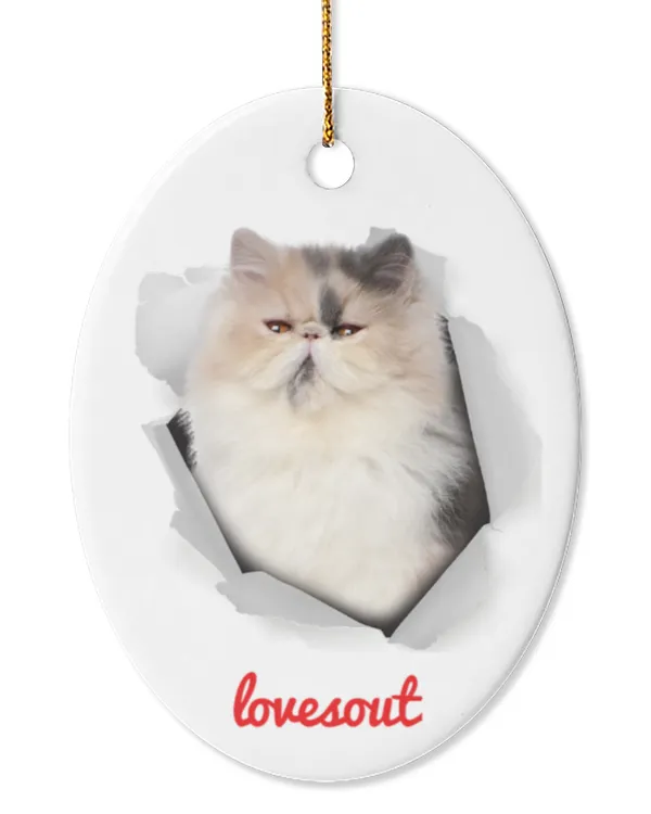 Oval Ceramic Ornament (US)