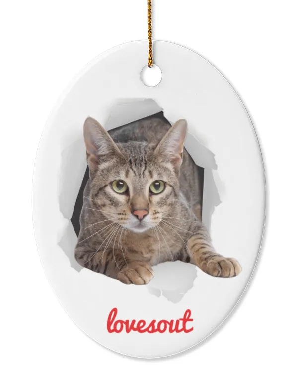 Cute Brown Mackeral Tabby Savannah Cat Peeking Out Ornament Oval Ceramic