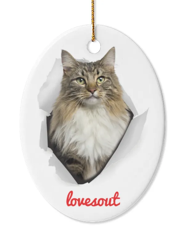 Cute Brown Classic Tabby Norwegian Forest Cat Peeking Out Ornament Oval Ceramic