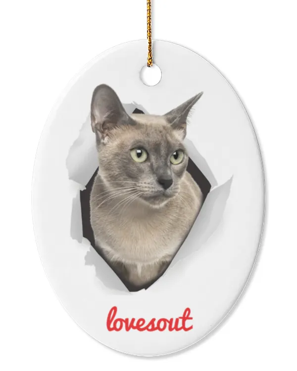 Cute Blue Mink Tonkinese Cat Peeking Out Ornament Oval Ceramic