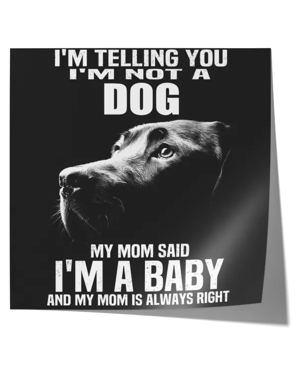 Satin Square Poster (30x30in)