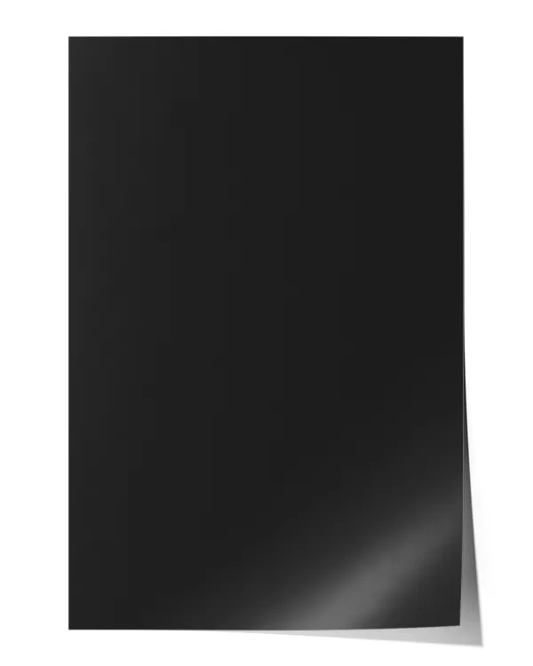 Satin Portrait Poster (16x24in)