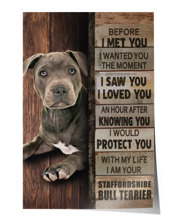 Satin Portrait Poster (16x24in)