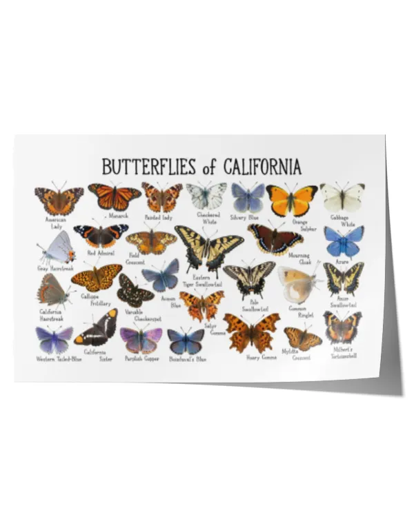 Satin Landscape Poster (24x16in)