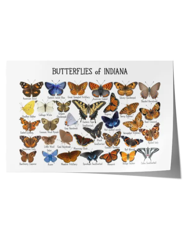 Satin Landscape Poster (24x16in)