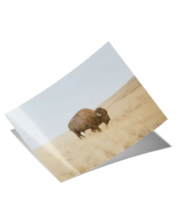 Satin Landscape Poster (24x16in)