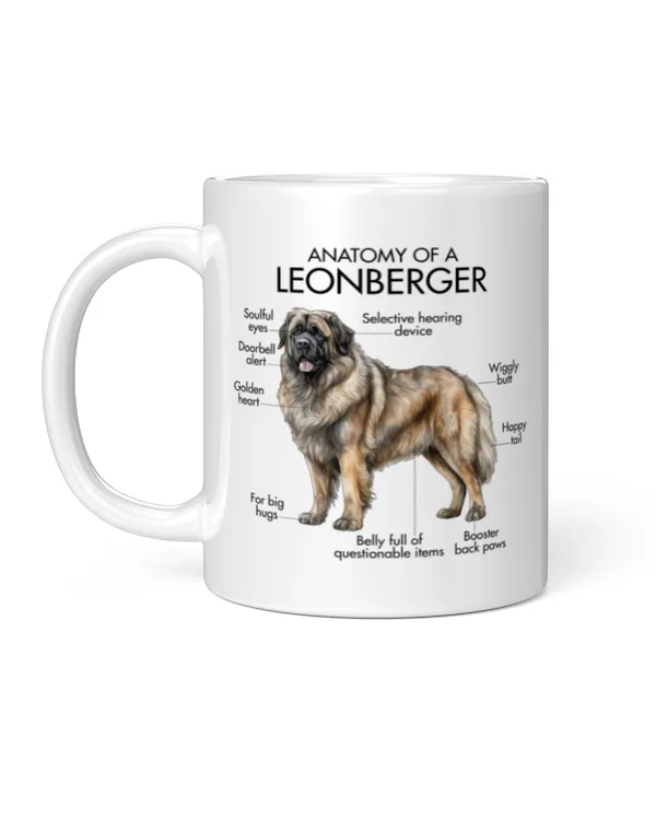 Anatomy Of A Leonberger