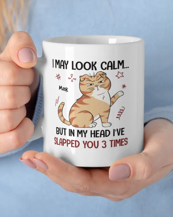 I May Look Calm But In My Head I'Ve Slapped You 3 Times Funny Cats - Personalized Mug, Gift For Cat Loves, Gift Idea For Cat Loves