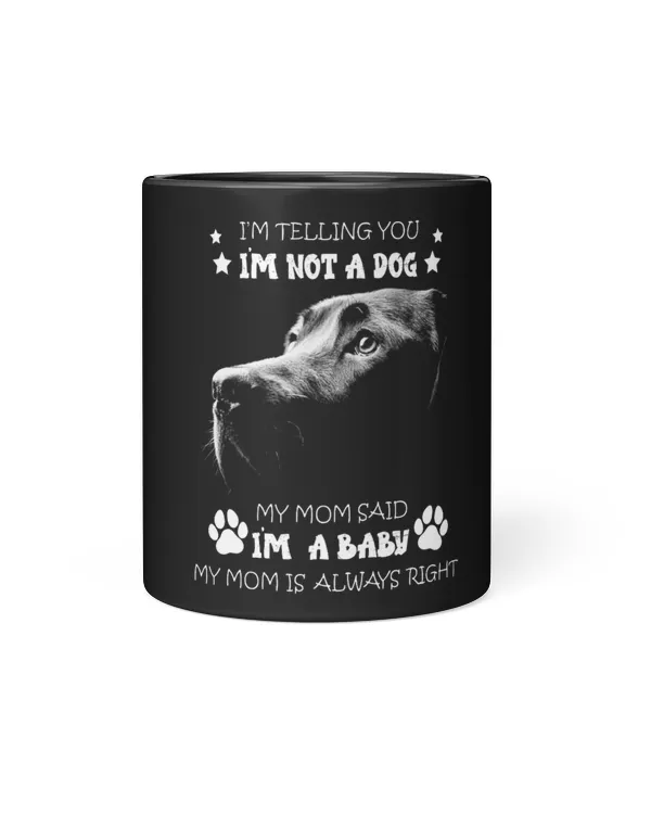 Black Mug 11oz
