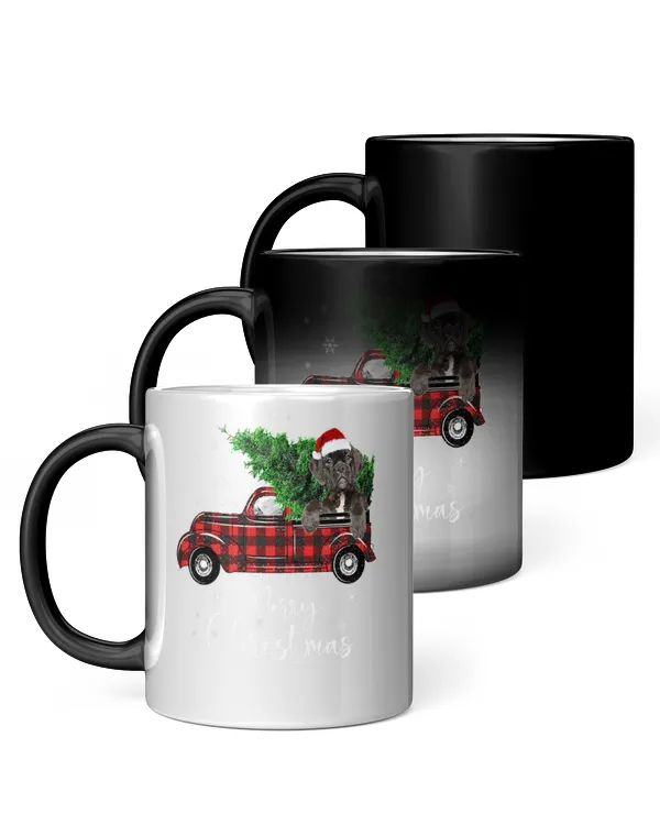 Magic Mug