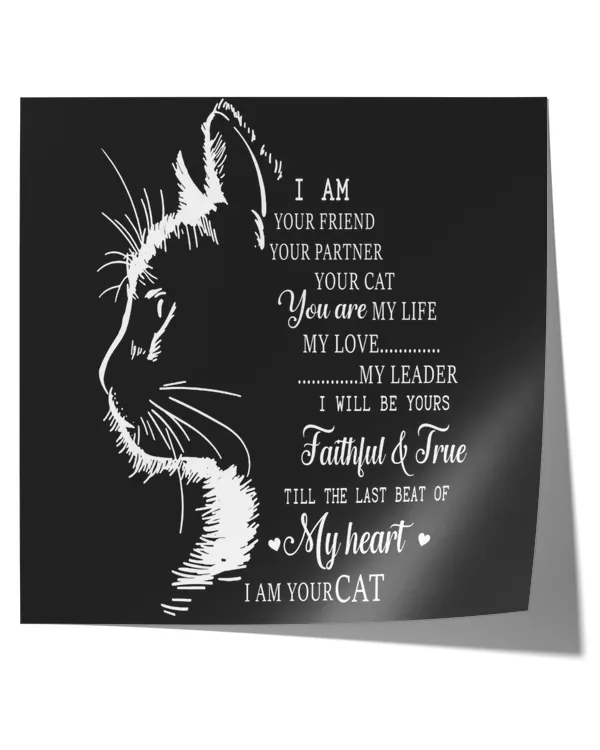 Satin Square Poster