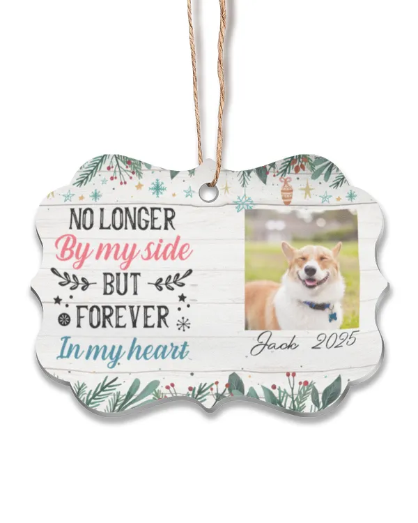 Acrylic Ornament - Medallion
