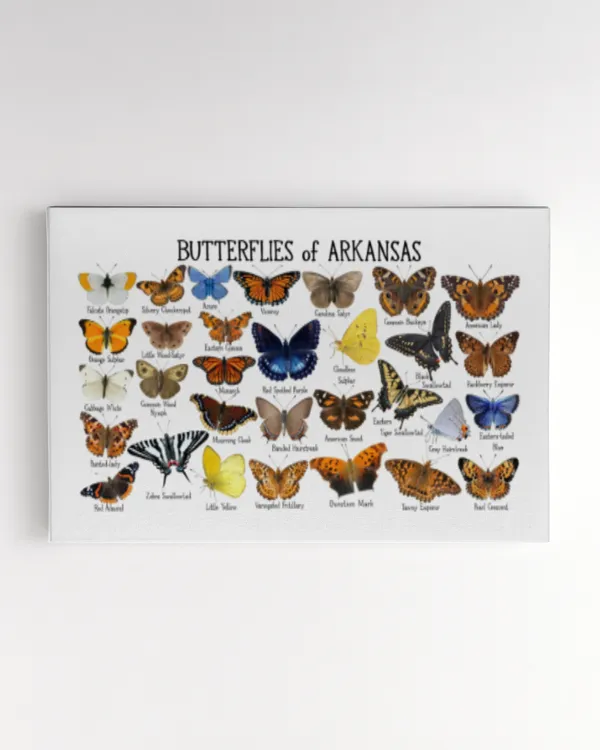 Butterflies of Arkansas Art Print