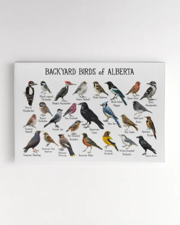 Backyard Birds of Alberta Art Print
