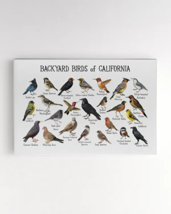 Backyard Birds of California Art Print