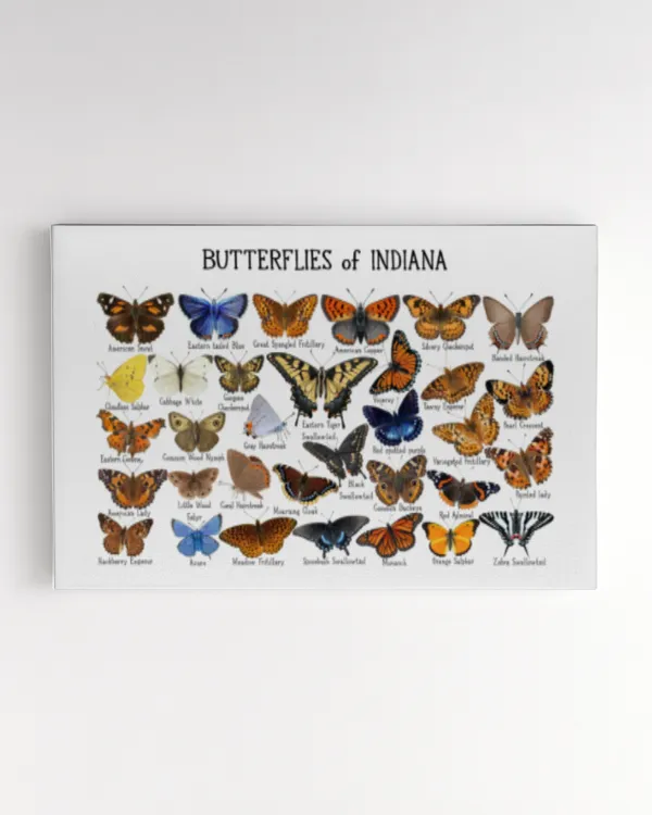 Butterflies of Indiana Art Print