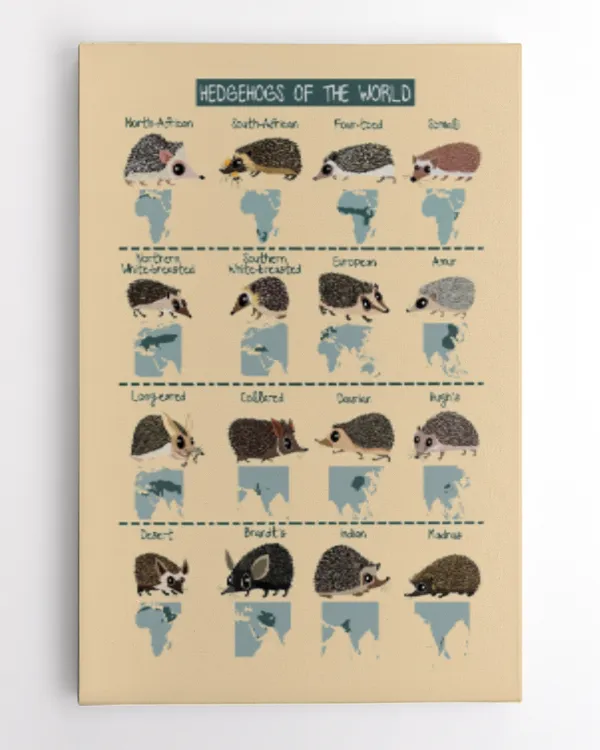 Hedgehogs Of The World Art Print