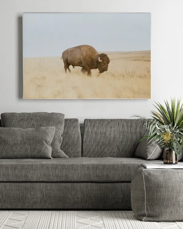 Ready To Hang Canvas (30x20 inch)