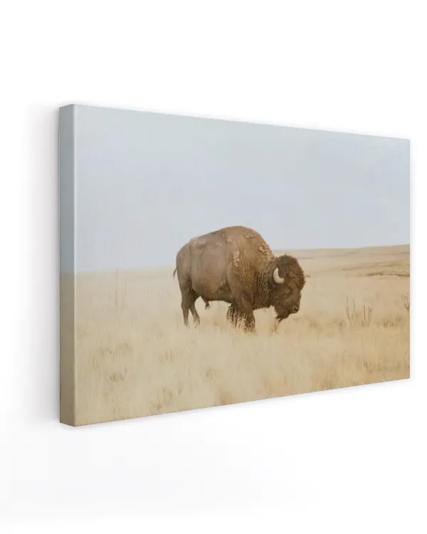 Ready To Hang Canvas (24x16 inch)