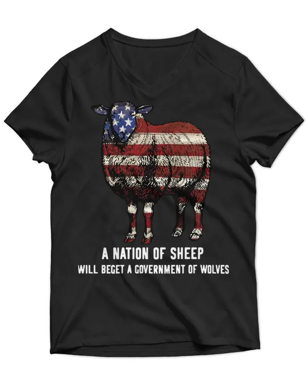 Unisex Jersey SS V-Neck T-Shirt