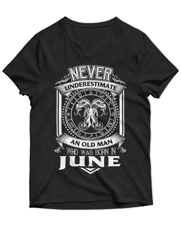 Unisex Jersey SS V-Neck T-Shirt