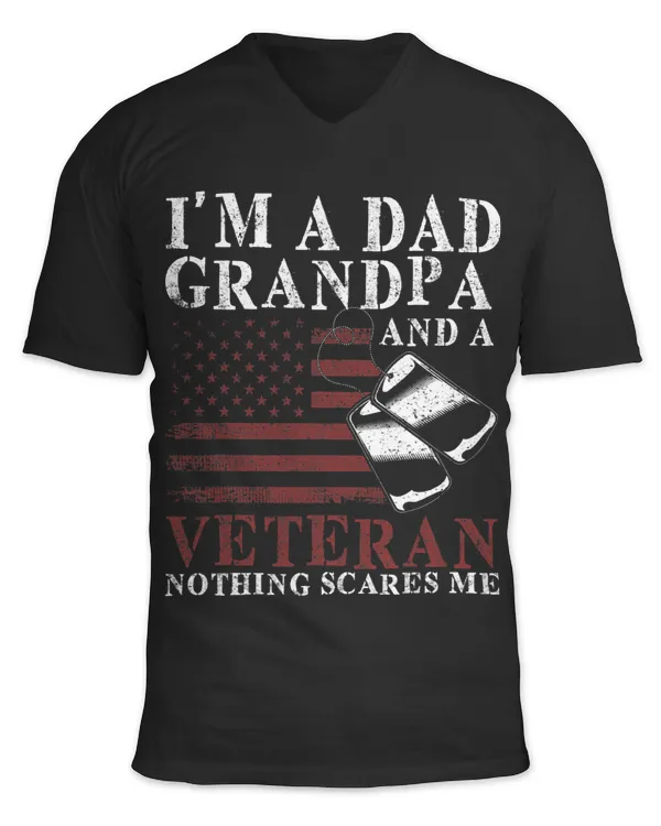 Unisex Jersey SS V-Neck T-Shirt