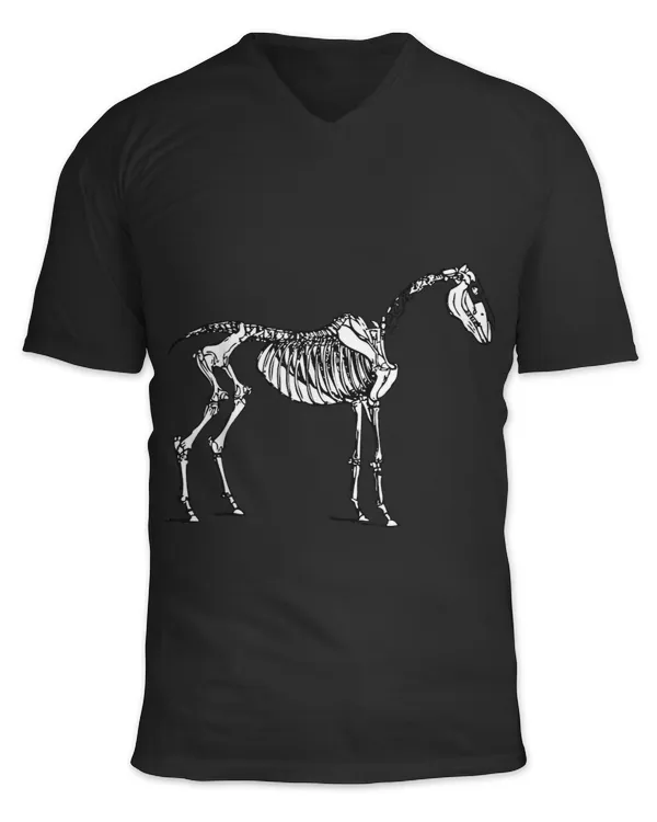 Skeleton Skulls Horse Skeleton Animals Drawing Skull