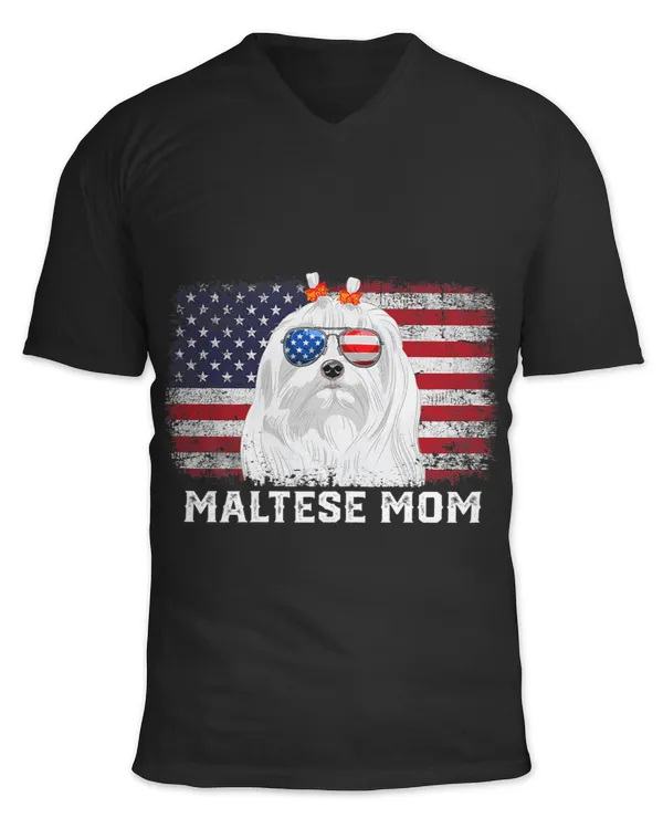 Unisex Jersey SS V-Neck T-Shirt