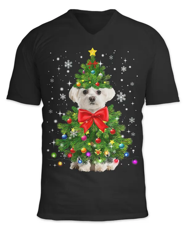 Unisex Jersey SS V-Neck T-Shirt