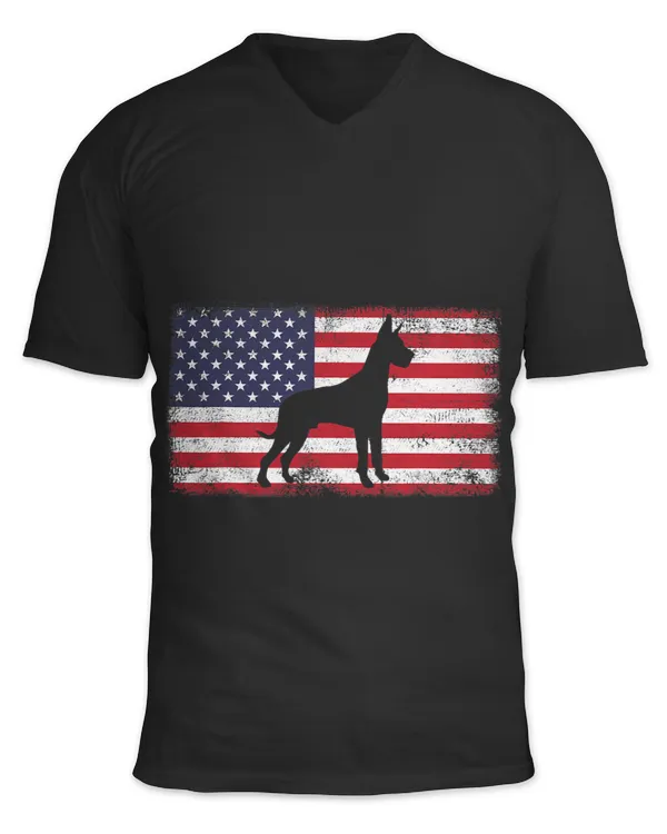 Unisex Jersey SS V-Neck T-Shirt