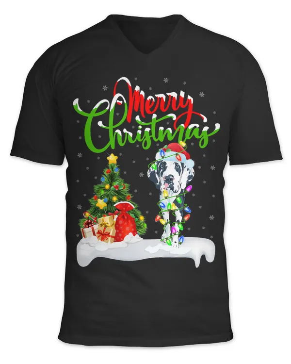 Unisex Jersey SS V-Neck T-Shirt