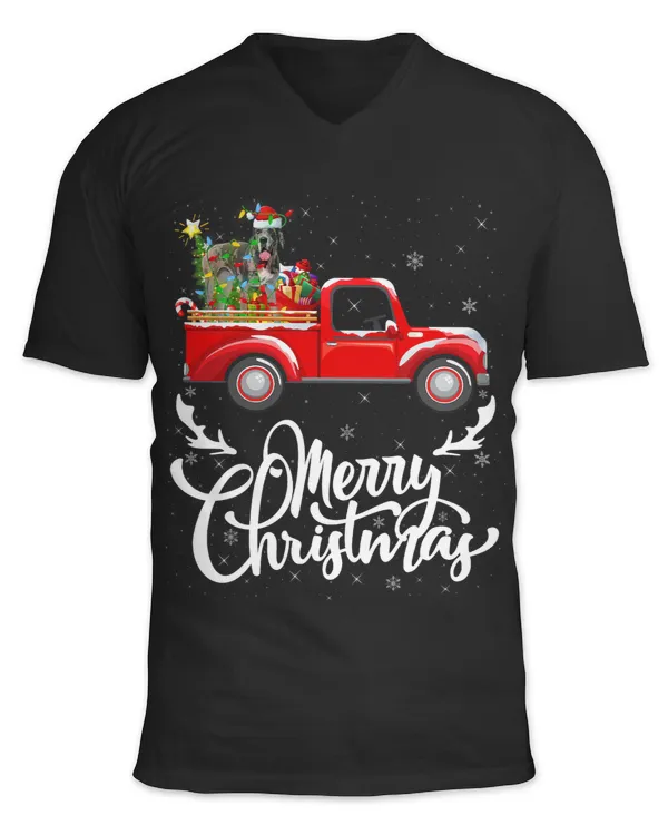 Unisex Jersey SS V-Neck T-Shirt