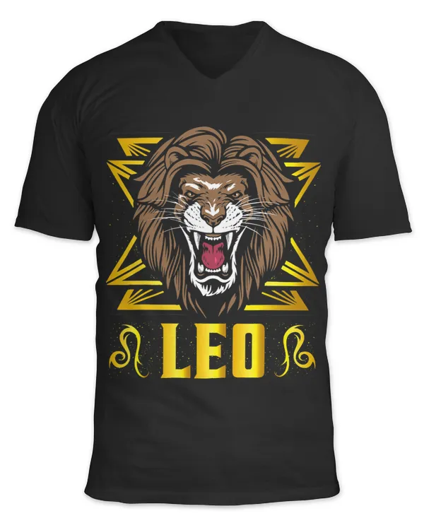 Unisex Jersey SS V-Neck T-Shirt
