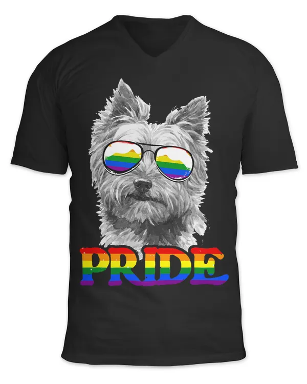 Unisex Jersey SS V-Neck T-Shirt