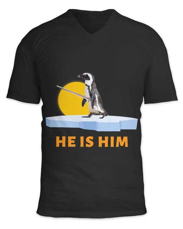 Unisex Jersey SS V-Neck T-Shirt