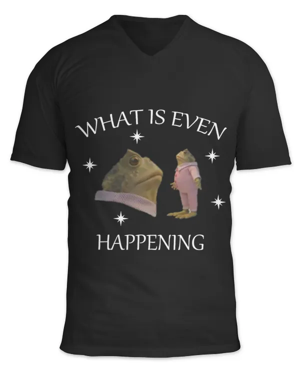 Frog Gift What Is Even Happening frog