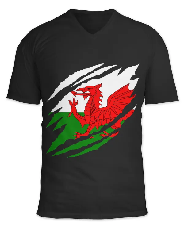 Unisex Jersey SS V-Neck T-Shirt