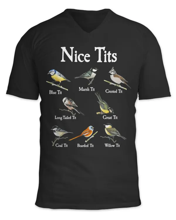 Unisex Jersey SS V-Neck T-Shirt