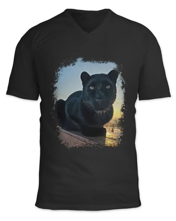 Unisex Jersey SS V-Neck T-Shirt