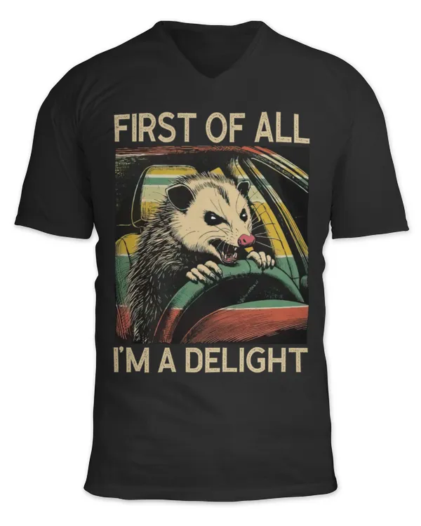 Unisex Jersey SS V-Neck T-Shirt
