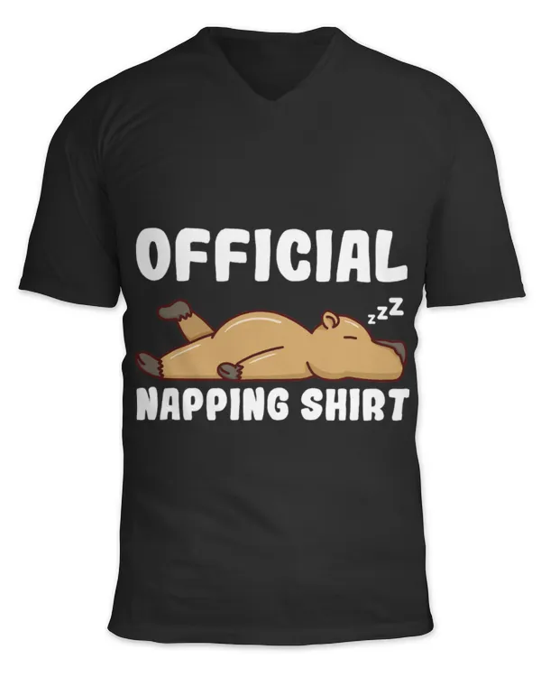 Unisex Jersey SS V-Neck T-Shirt