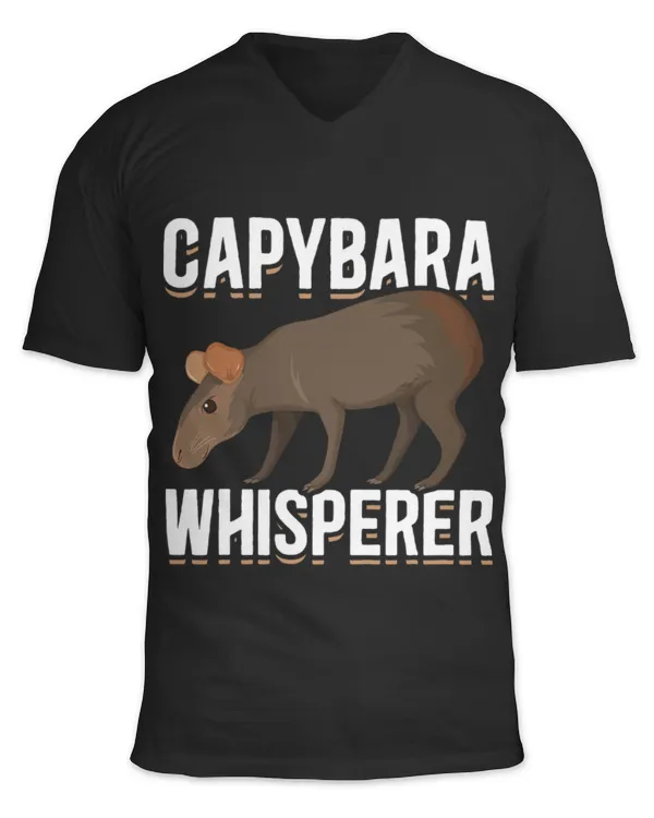 Unisex Jersey SS V-Neck T-Shirt
