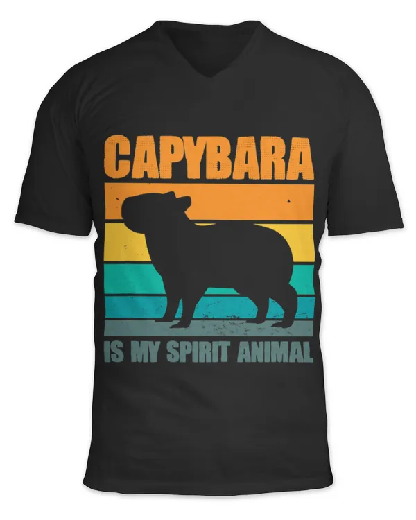 Unisex Jersey SS V-Neck T-Shirt