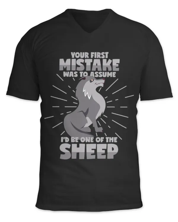 Unisex Jersey SS V-Neck T-Shirt