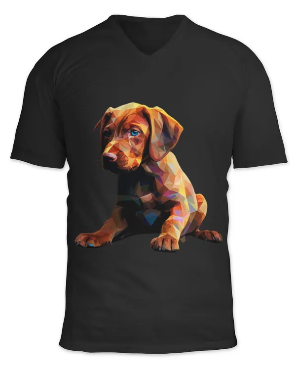 Unisex Jersey SS V-Neck T-Shirt