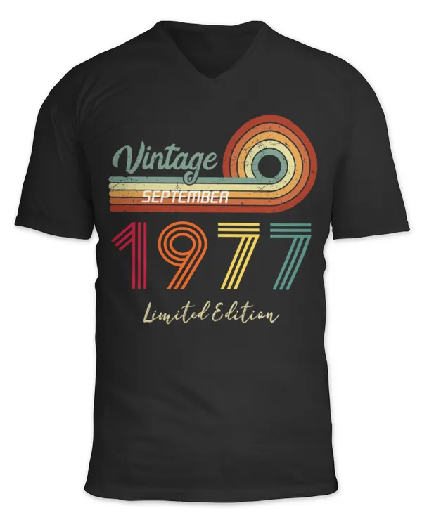 Unisex Jersey SS V-Neck T-Shirt