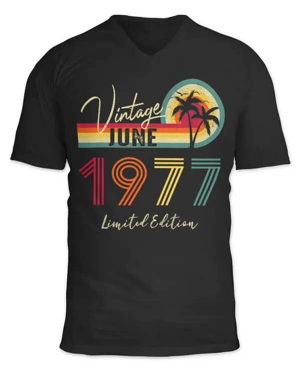 Unisex Jersey SS V-Neck T-Shirt