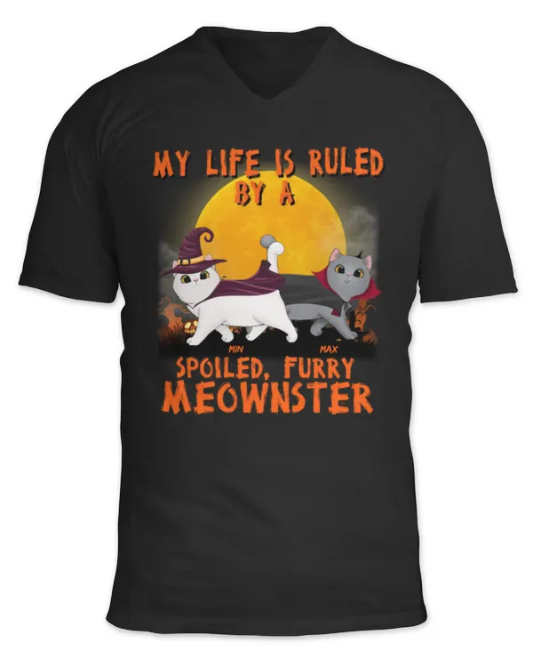 Unisex Jersey SS V-Neck T-Shirt
